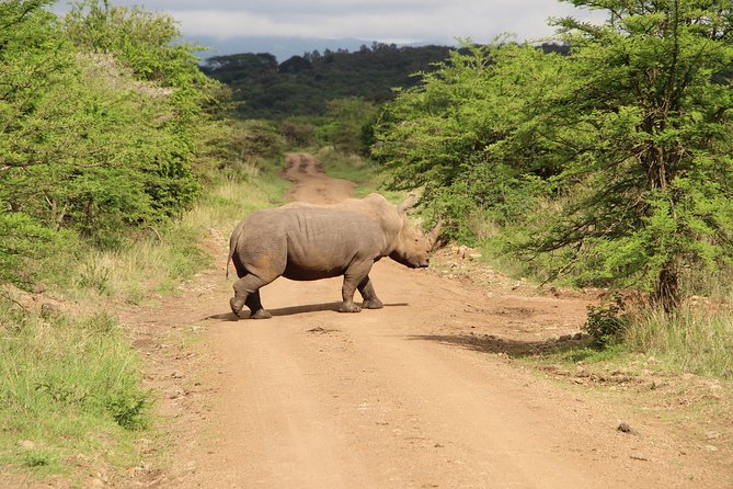 Nairobi National Park Private Safari - Private group, same-location pickup, and a day measured in hours