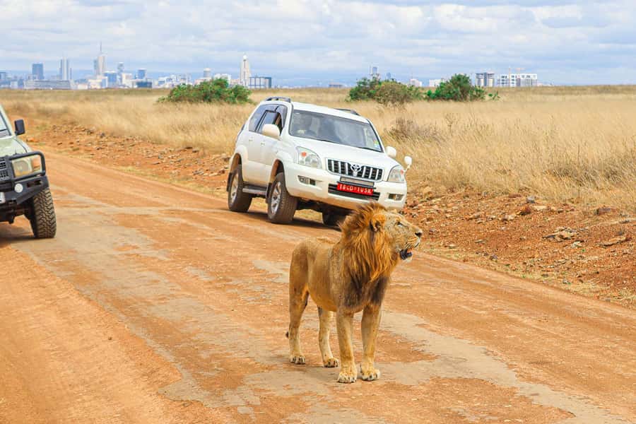 Nairobi: National Park Private Tour in 4X4 Jeep - The Open-Roof 4x4 Experience: Comfort Meets Visibility