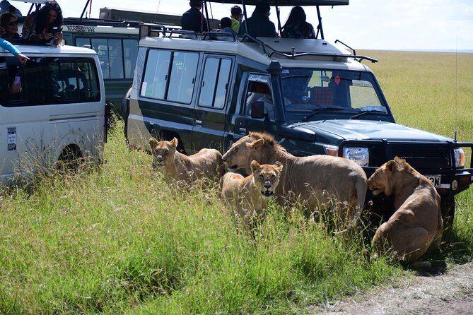 Nairobi National Park Shared Tour - Stop One: Nairobi National Park Safari, What You Can Actually Expect