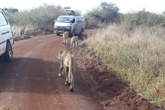 Nairobi National Park, Sheldrick Elephant, Giraffe Centre Tour - The wake-up call that makes Nairobi wildlife work