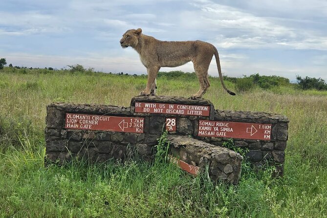 Nairobi National Park, Sheldrick Elephant, Giraffe Centre Tour - Value check: $50 tour price vs real-world entry fees