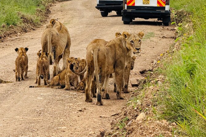 Nairobi National Park Sheldrick & Giraffe Centre Day Trip - Quick Take: What Makes This Day Trip Worth Your Time