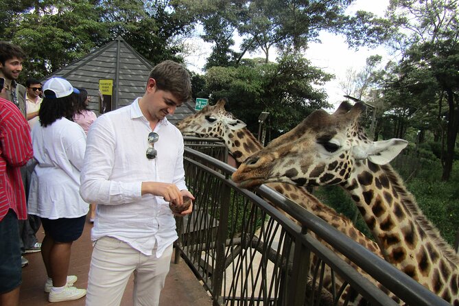 Nairobi National Park Sheldrick & Giraffe Centre Day Trip - Bomas of Kenya, Traditional Music and Dance in a Real Performance Setting