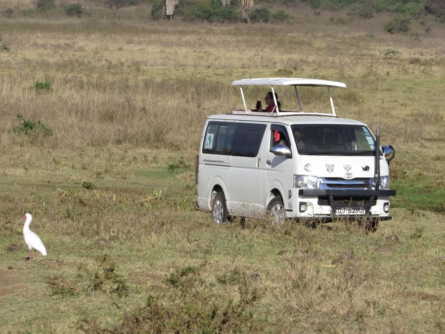Nairobi national park: Sunrise and Sunset Tours - Nairobi National Park at first light, or golden hour, why this works