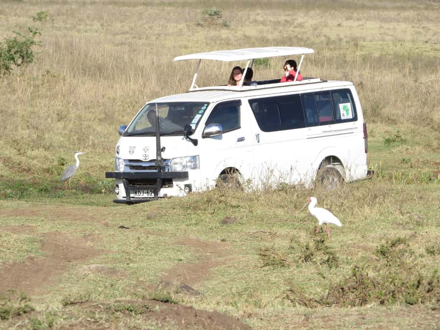 Nairobi national park: Sunrise and Sunset Tours - The game drive, how the 4 hours usually plays out