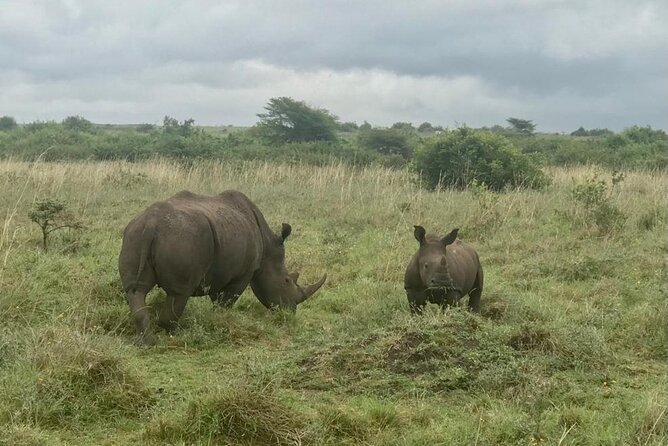 Nairobi National Park Tour - What you do before and after the park drive