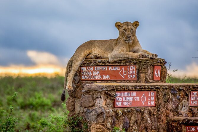 Nairobi National Park Tour - Price and value: what $109.16 really covers