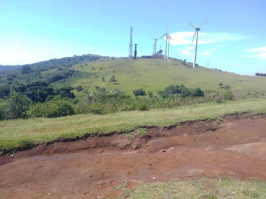 Nairobi: Ngong Hills Hiking and Zip Lining Tour - What You Learn on the Trail: Indigenous Trees and Local Nature Notes