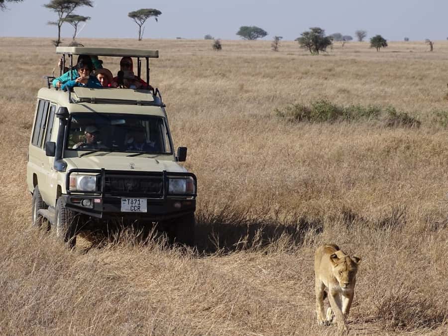 Nairobi: Overnight Safari Trip to Amboseli National Park - Lunch inside the park at Oltukai Lodge