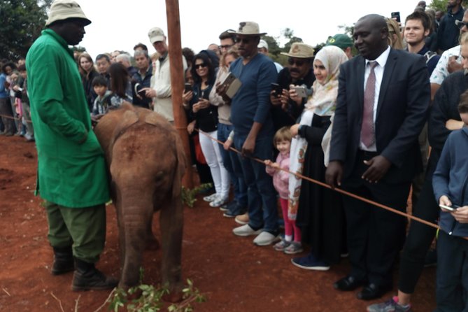 Nairobi park, steamark birds, Girraffe center & bomas - FAQ