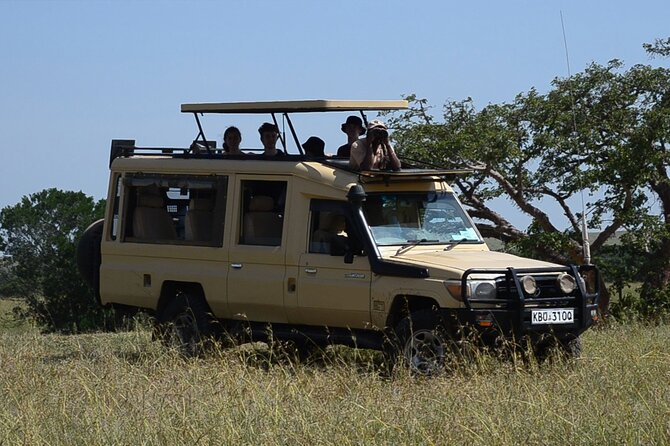 Nairobi Park Wildlife Safari - Nairobi National Park, wildlife steps from city life