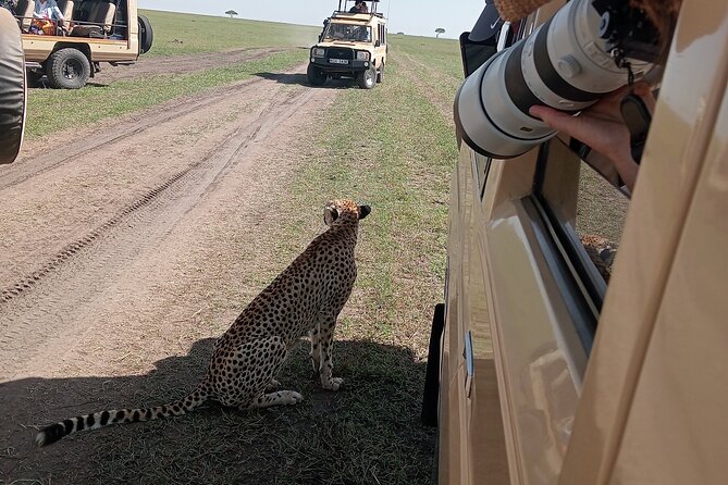 Nairobi Park Wildlife Safari - Game drive inside Nairobi National Park: what you’re really hunting for