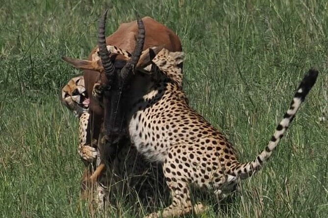 Nairobi Park Wildlife Safari - Walking trails: when you want more than the vehicle