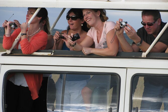 Nairobi Park Wildlife Safari - Cars, guidance, and what makes the experience feel smooth