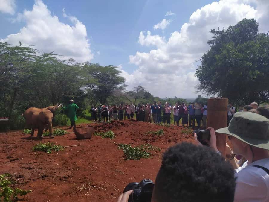 Nairobi: Private Elephant Orphanage Tour - Nairobi outskirts driving: why this tour feels more than a single stop