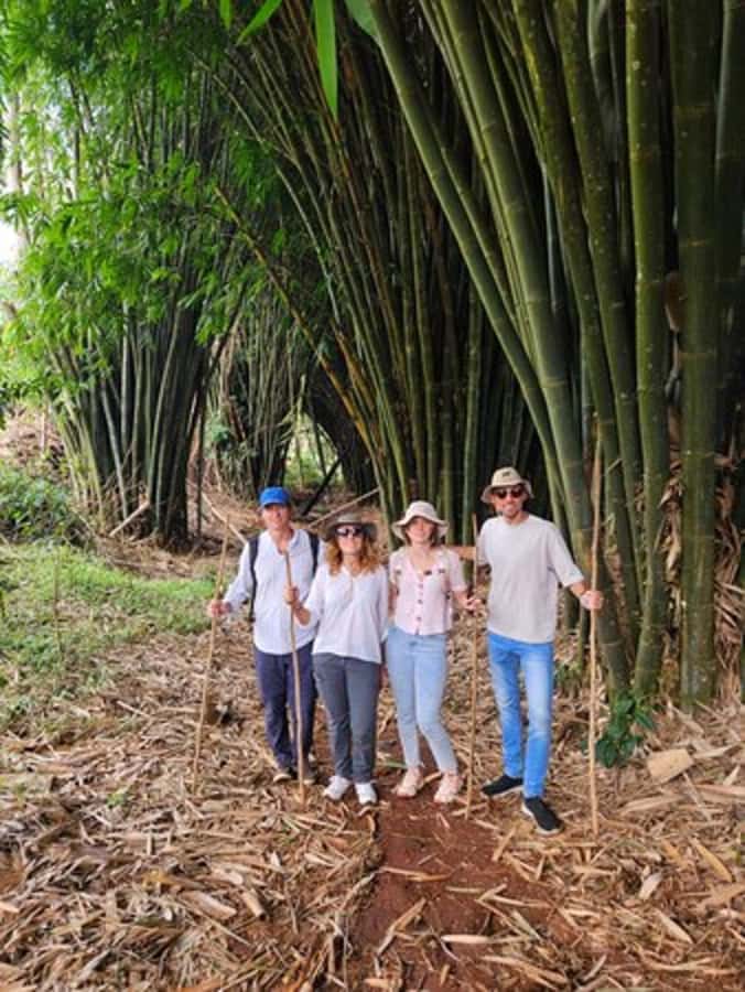 Nairobi: Purple Tea Farm Gatura Greens Day Trip - The guided tea-tasting ceremony: where the flavors click