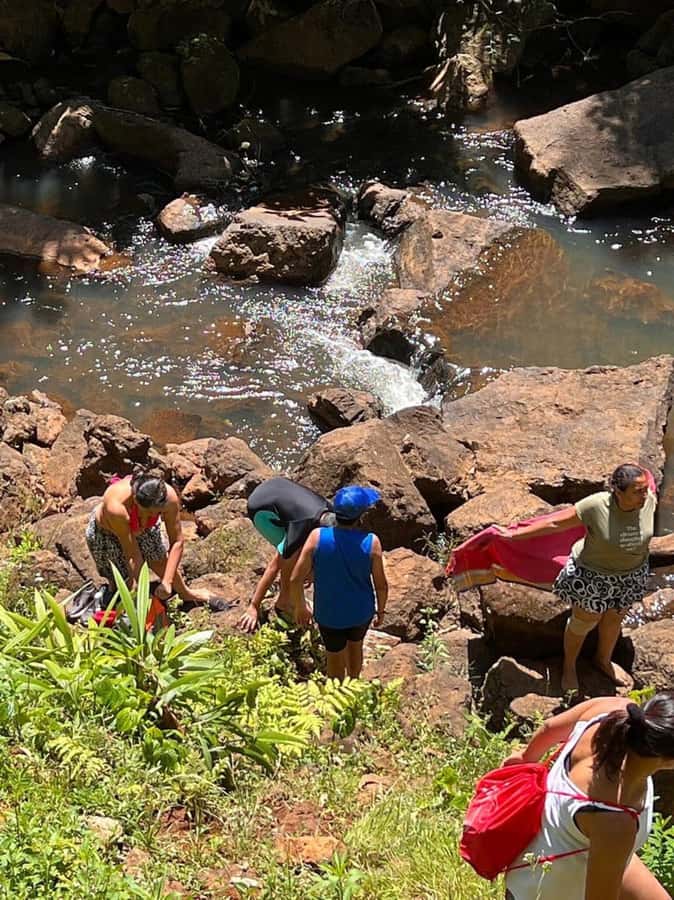 Nairobi: Purple Tea Farm Gatura Greens Day Trip - Bamboo forest trek to the waterfall, and what to expect on the walk