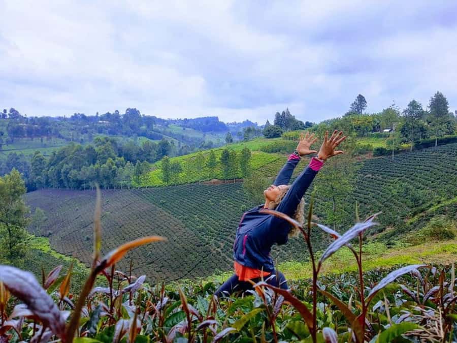 Nairobi: Purple Tea Farm Gatura Greens Day Trip - Waterfall swim: refreshing, scenic, and easy to enjoy