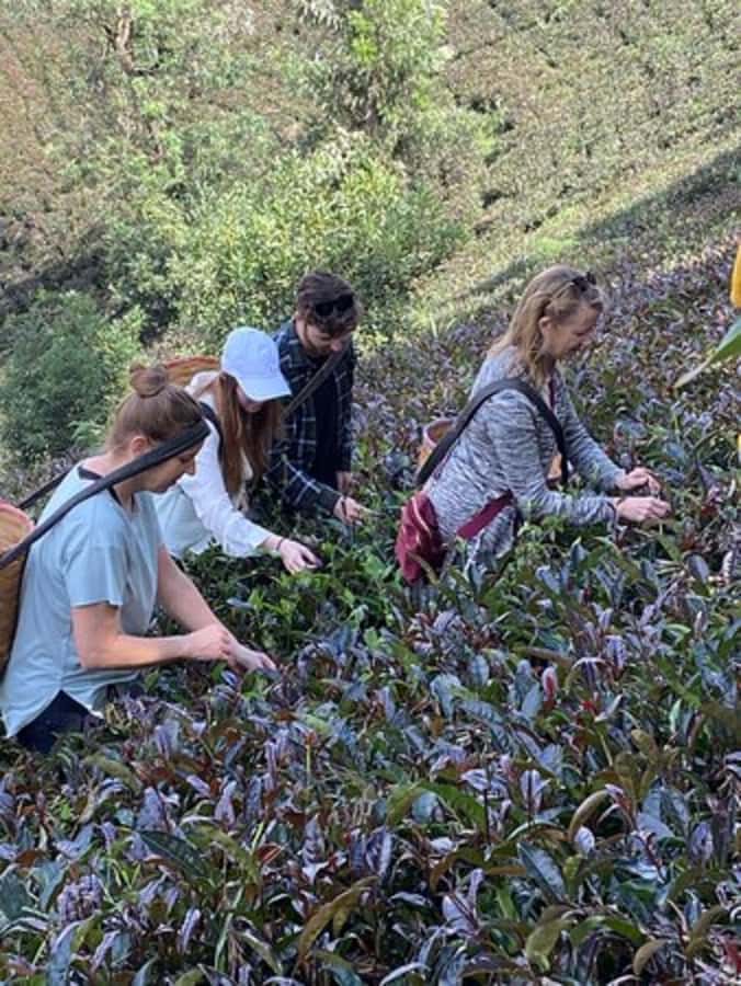 Nairobi: Purple Tea Farm Gatura Greens Day Trip - Farm lunch with local ingredients, plus tea in the menu