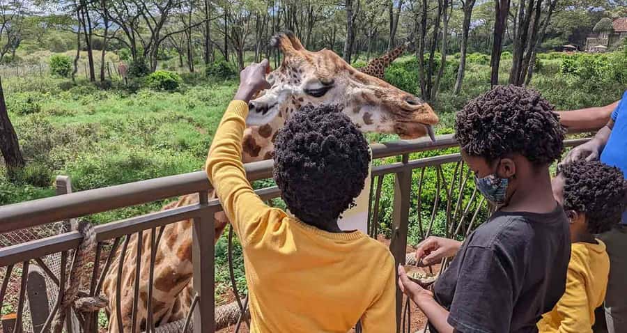 Nairobi: Sheldrick Elephant Orphanage and Giraffe Center - Key highlights