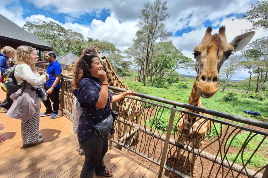 Nairobi: Sheldrick Elephant Orphanage and Giraffe Center - Price and value for about $90 per person