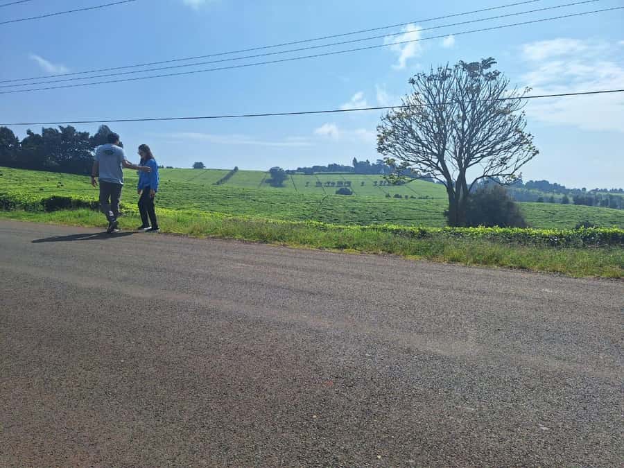 Nairobi: Tea Farm Day Trip with Lunch at kiambethu - Bonfire in the gardens to close out the day
