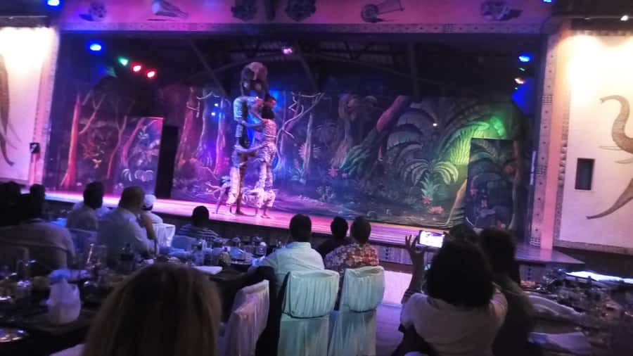Nairobi: The Safari Cats Show Tickets & Buffet Dinner - Key highlights