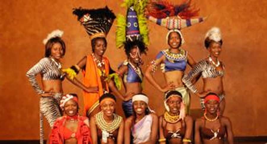 Nairobi: The Safari Cats Show Tickets & Buffet Dinner - A Nairobi night plan that is not another safari day