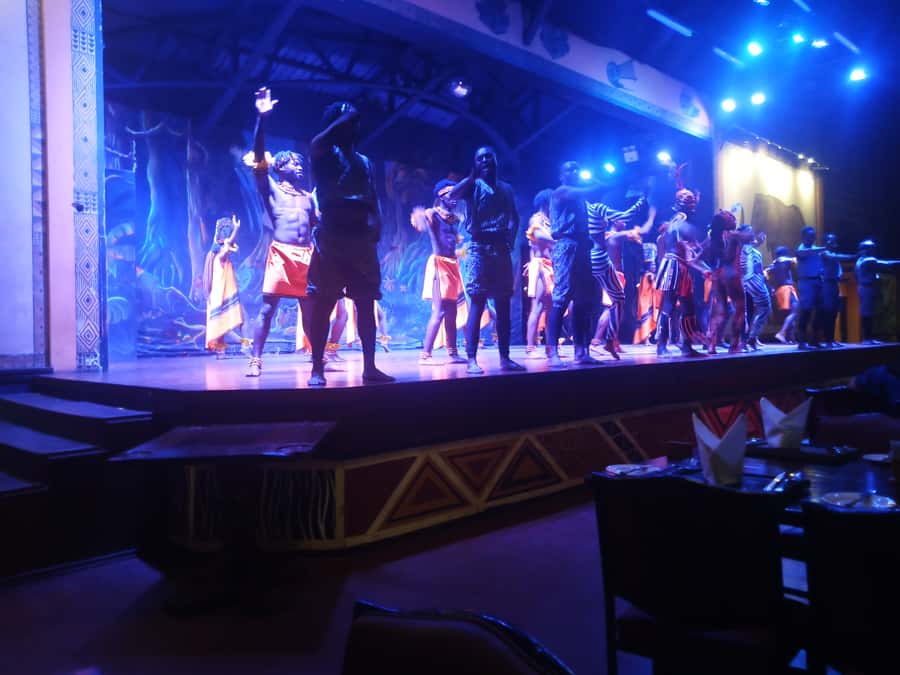 Nairobi: The Safari Cats Show Tickets & Buffet Dinner - The Safari Cats show: what the schedule really means
