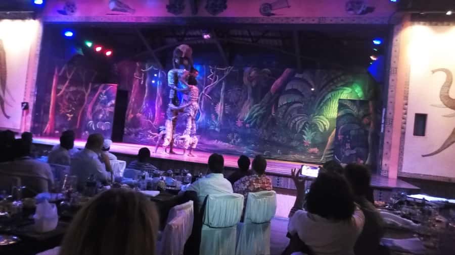 Nairobi: The Safari Cats Show Tickets & Buffet Dinner - Quick practical checklist before you go