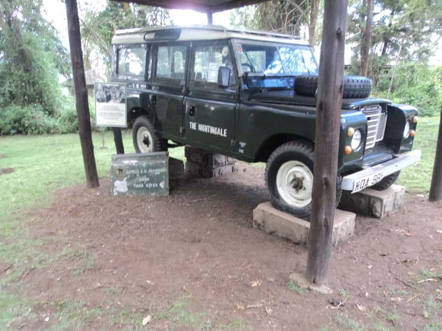 Nairobi to Lake Naivasha Day Tour with Crescent Island - Cost and Logistics: Is This Value-Minded Day Tour Worth $180?