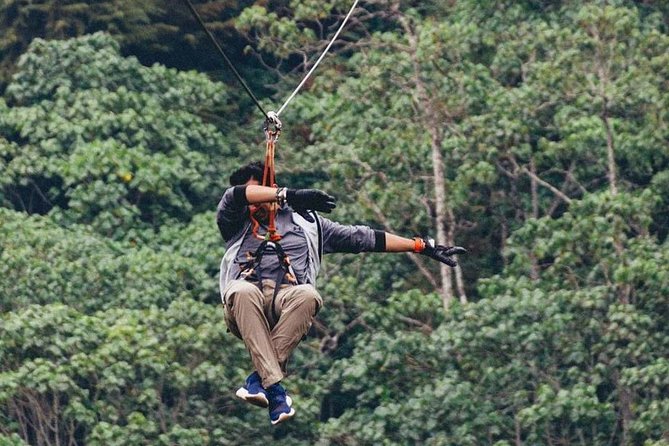 Nairobi Zip Lining Adventure Experience - What the $100 price really buys you