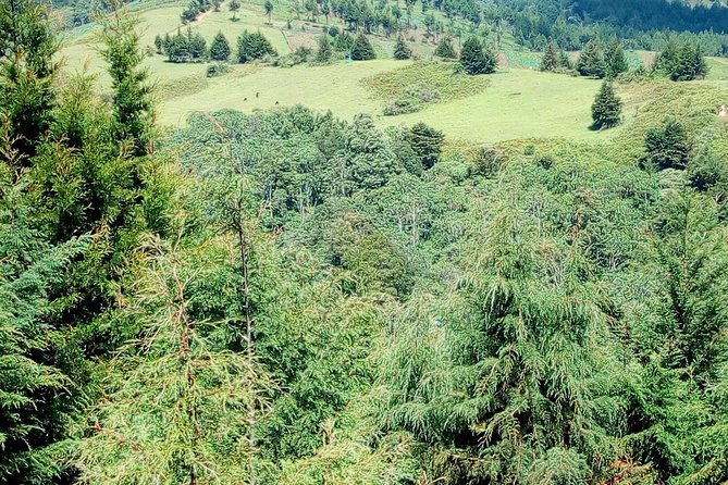 Nairobi Zip Lining Adventure Experience - Clothing and prep: smart casual, plus comfort for a fast day