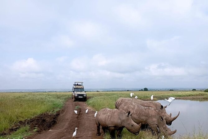 National Park Half-Day Group Tour in Nairobi with Pickup - Key things I’d zero in on before you book