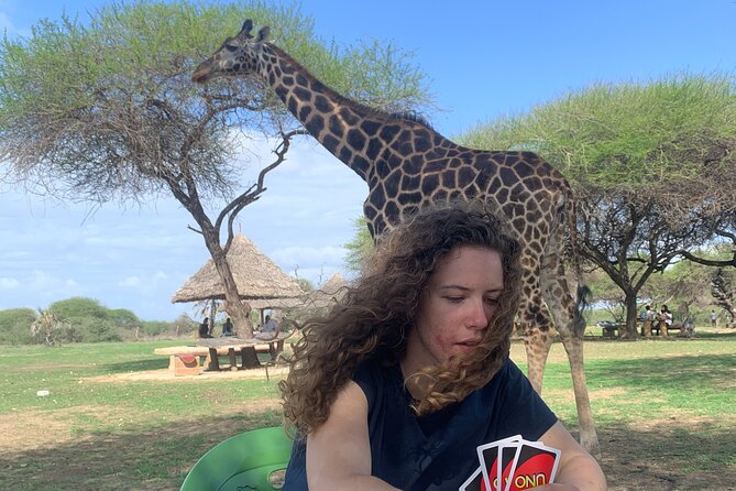 Nature Walk with Giraffes in Mombasa - Key Highlights You Should Know