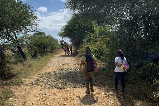 Nature Walk with Giraffes in Mombasa - Your 2-Hour Route: From Meeting Point to Bench-Time