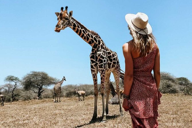 Nature Walk with Giraffes in Mombasa - Tyre Swings on Trees: The Quietly Smart Family Bonus