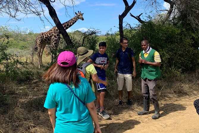 Nature Walk with Giraffes in Mombasa - Small Group Feel: Why the Max of 20 Travelers Matters