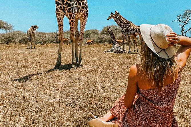 Nature Walk with Giraffes in Mombasa - What You Actually See: Giraffes, Ostriches, Antelopes, and More