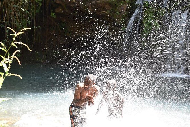 Ngare Ndare Day Trip - The forest walk with an armed guide, and how to enjoy it