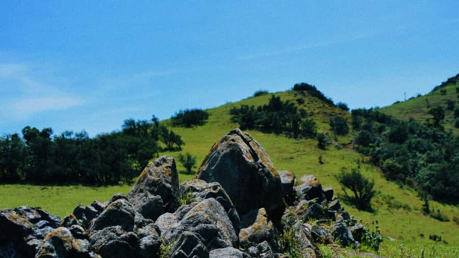 Ngong Hills: Private Hiking Tour - Getting from Nairobi to the trail, and why timing matters