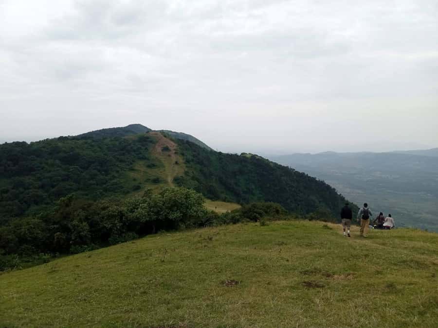 Ngong Hills: Private Hiking Tour - Wildlife spotting without turning it into a chase