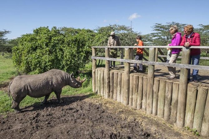 Ol Pejeta Conservancy Day Tour from Nairobi - Price and value: is USD 380 really fair for a full-day conservancy safari?