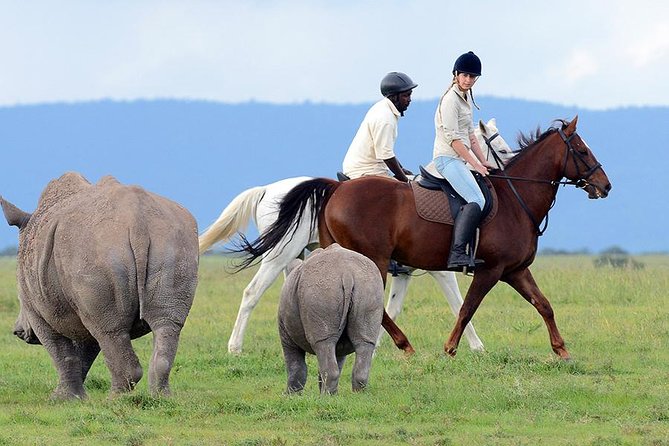 Ol Pejeta Conservancy Day Tour from Nairobi - Who should book this Ol Pejeta day tour from Nairobi