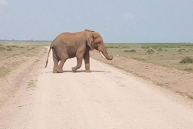 Olpejeta conservancy Day tour - Entering Ol Pejeta, and Why This Conservancy Feels Different