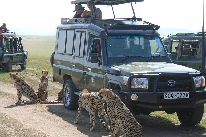 Olpejeta, Lake Naivasha, Masai Mara 5 Days Private Kenya Jeep tour - Lake Naivasha boat safari plus Crescent Island walking time