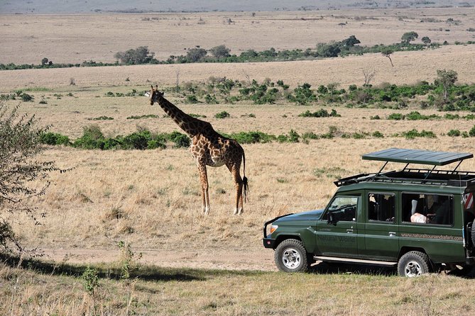 Olpejeta, Lake Naivasha, Masai Mara 5 Days Private Kenya Jeep tour - Two Mara days: unlimited game viewing and a Mara River picnic