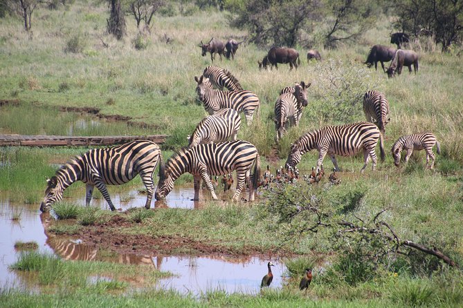 Olpejeta, Lake Naivasha, Masai Mara 5 Days Private Kenya Jeep tour - Price and value: what $2,880 per person is really paying for