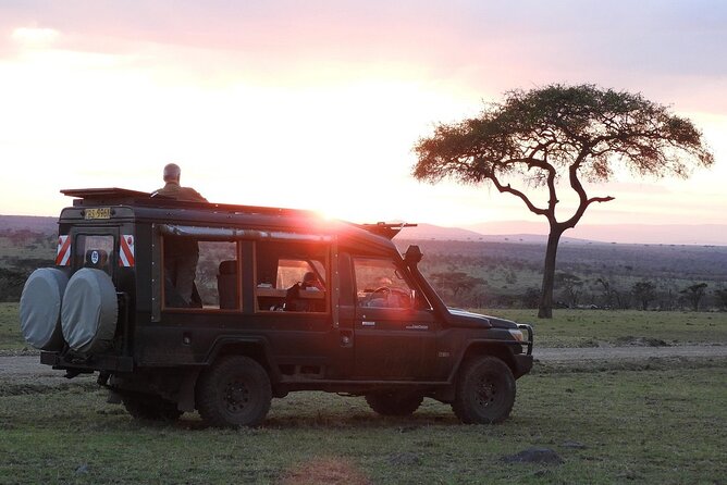 One Day Tour to Maasai Mara Game reserve from Nairobi - Picnic lunch at 1:00pm: a break that keeps the safari momentum