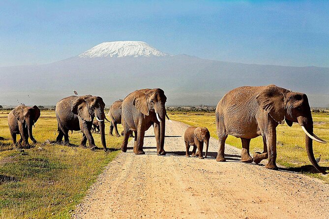 One Night (Mid-range) Amboseli National Park Safari - Day 1 from Nairobi: early pickup and an Emali stop